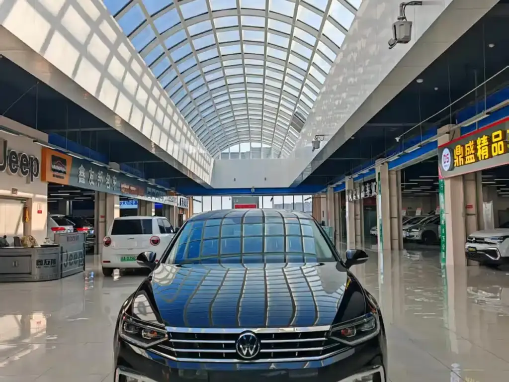  Passat Magotan